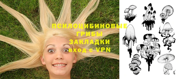 сатива Арсеньев