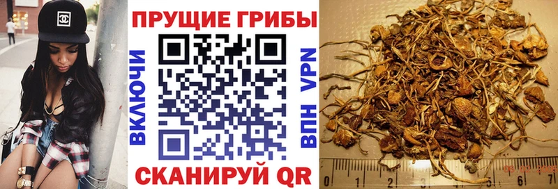 Галлюциногенные грибы GOLDEN TEACHER  Кубинка 